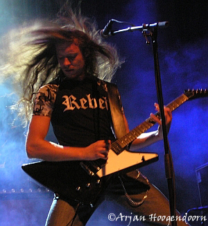 Sander