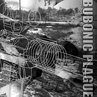 The Bubonic 

Plague