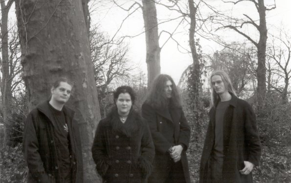 Swansdown