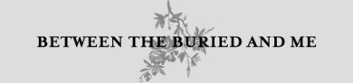 BTBAM_logo