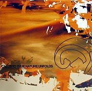 callisto_cover