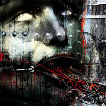 Gadget_cover