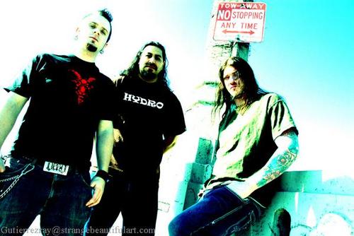 Arkaea band