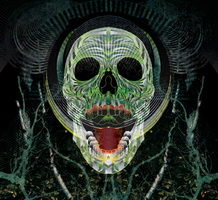 Bruce Lamont - Feral Songs for the Epic Decline