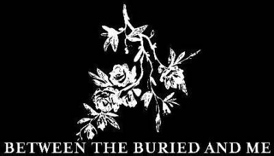 BTBAM_logo