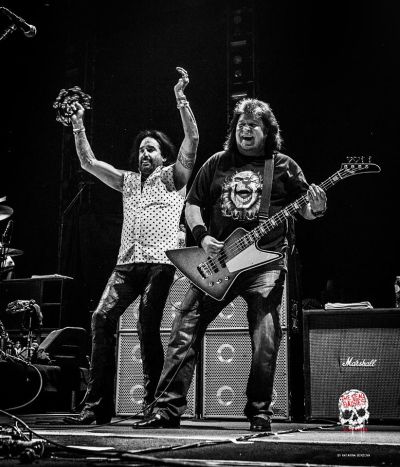 deaddaisies400