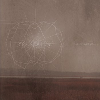 Epistasis – Light Through Dead Glass