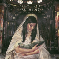 pfn vd cover 200