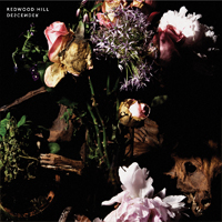 Redwood Hill – Descender