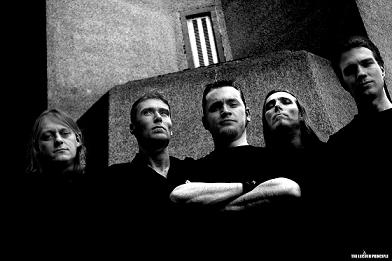 TLP bandpic