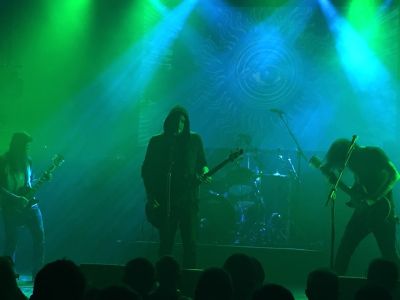 Usnea