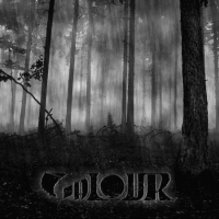 valourvalour