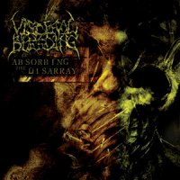 Visceral Bleeding - Absorbing The Disarray