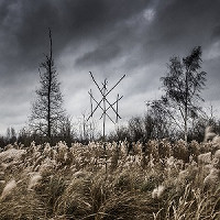  Wiegedood - De doden hebben het goed 