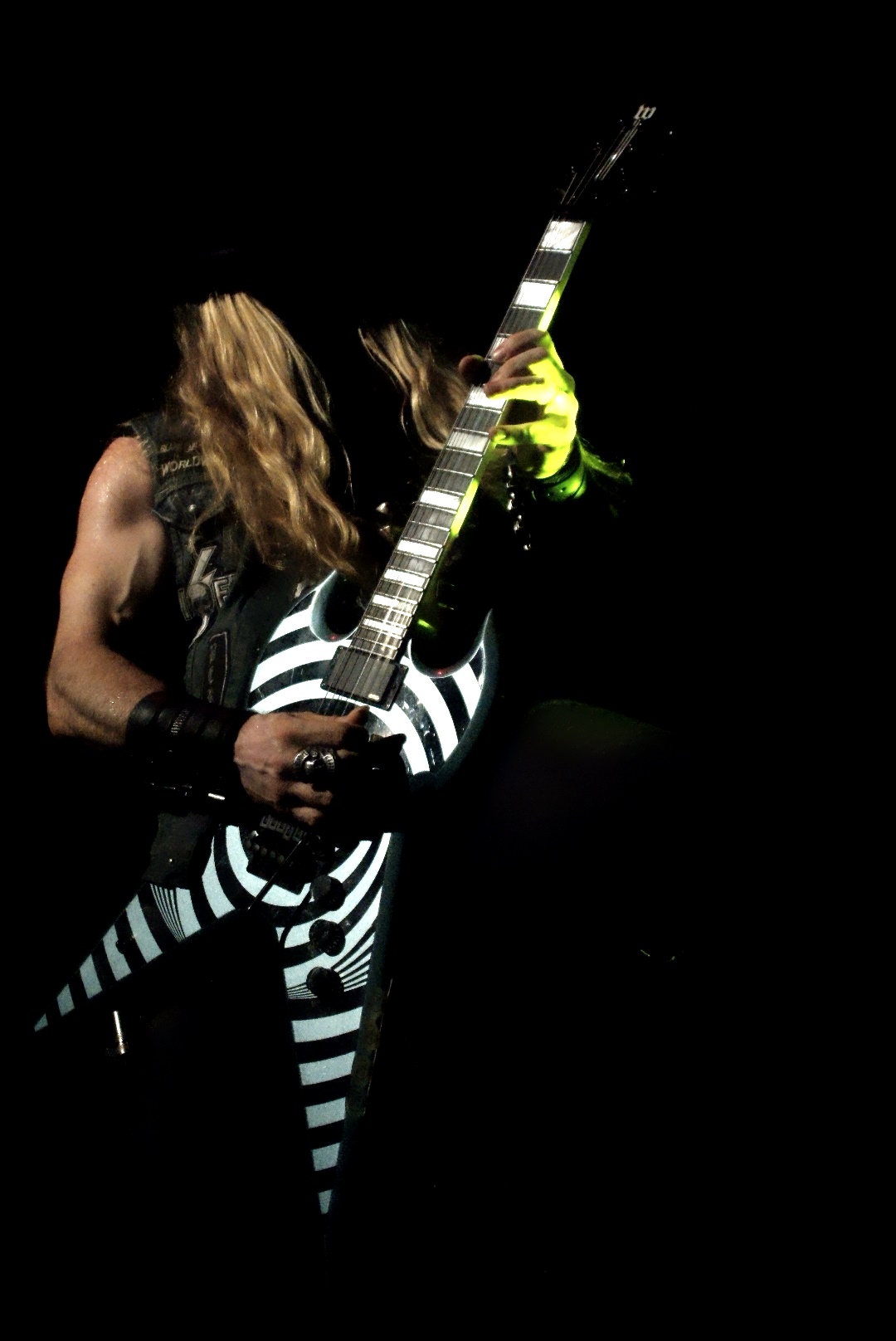 zakk wylde 2
