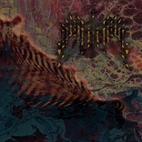 Fanisk 
