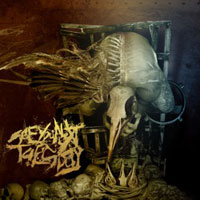 See You Next Tuesday - Parasite