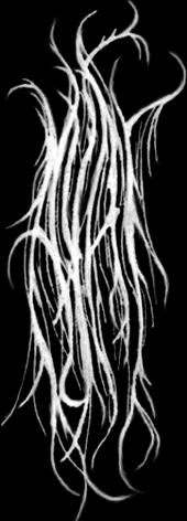 ayatlogo