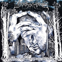 Woods of Ypres - Woods 5: Grey Skies & Electric Light
