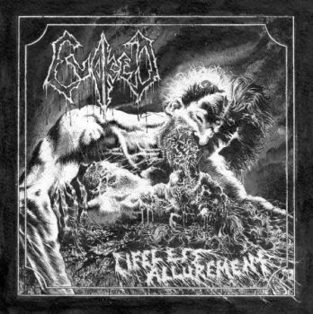 evoked-cover