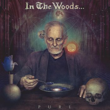 in-the-woods-pure