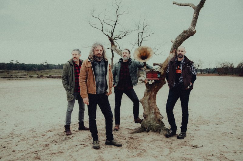 hvalross bandfoto
