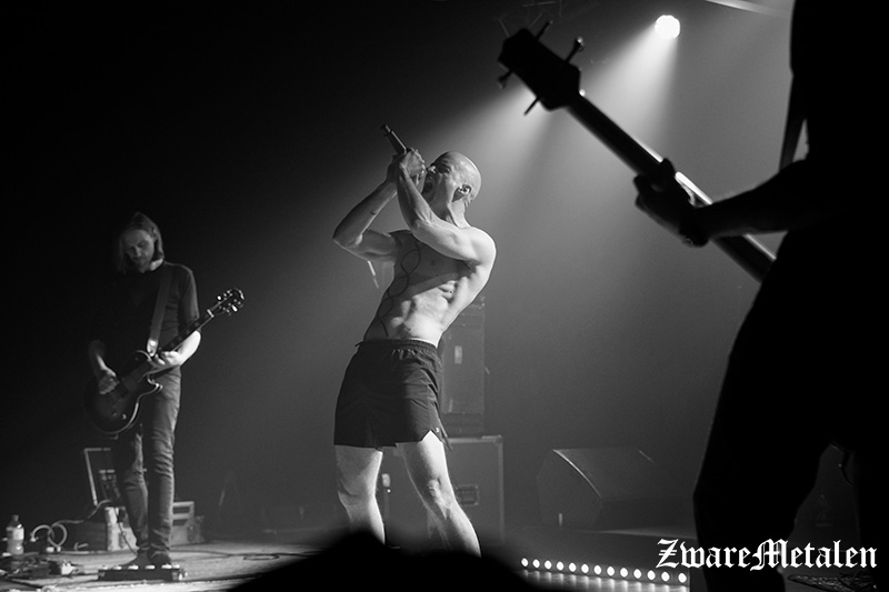 The Perfect Tool - Zaal Goedleven