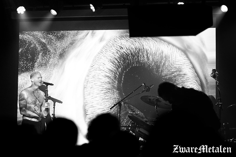 The Perfect Tool - Zaal Goedleven