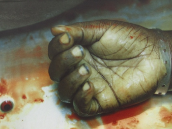 post mortem - sue fox