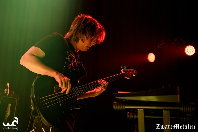 King Buffalo
