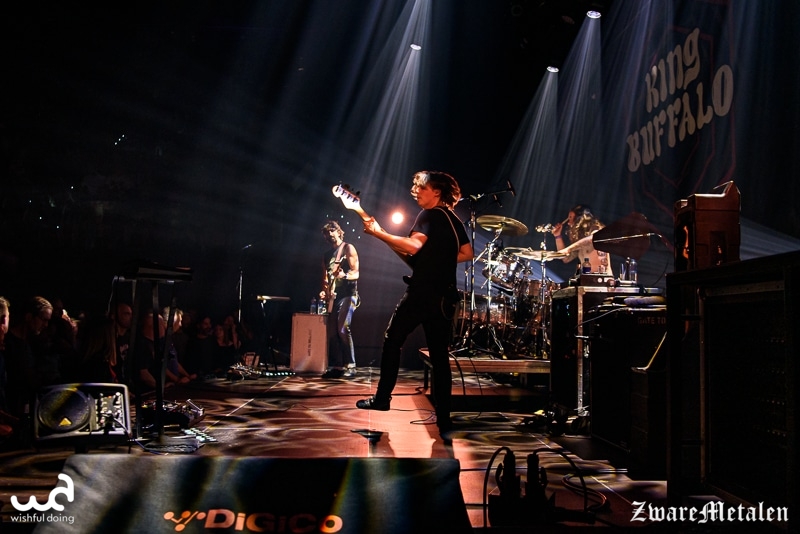 King Buffalo
